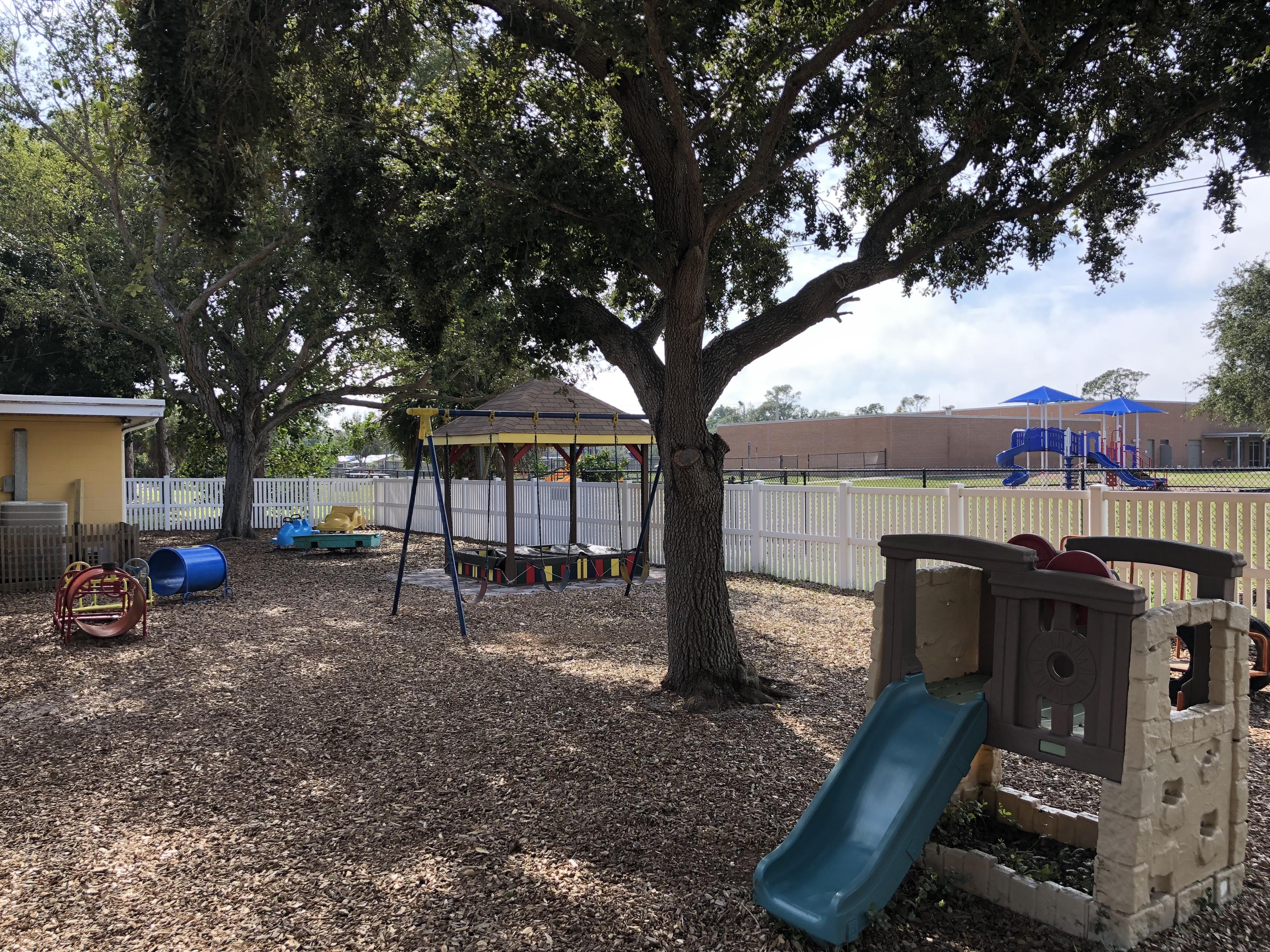 Toad Hall outdoor area with a large shade tree