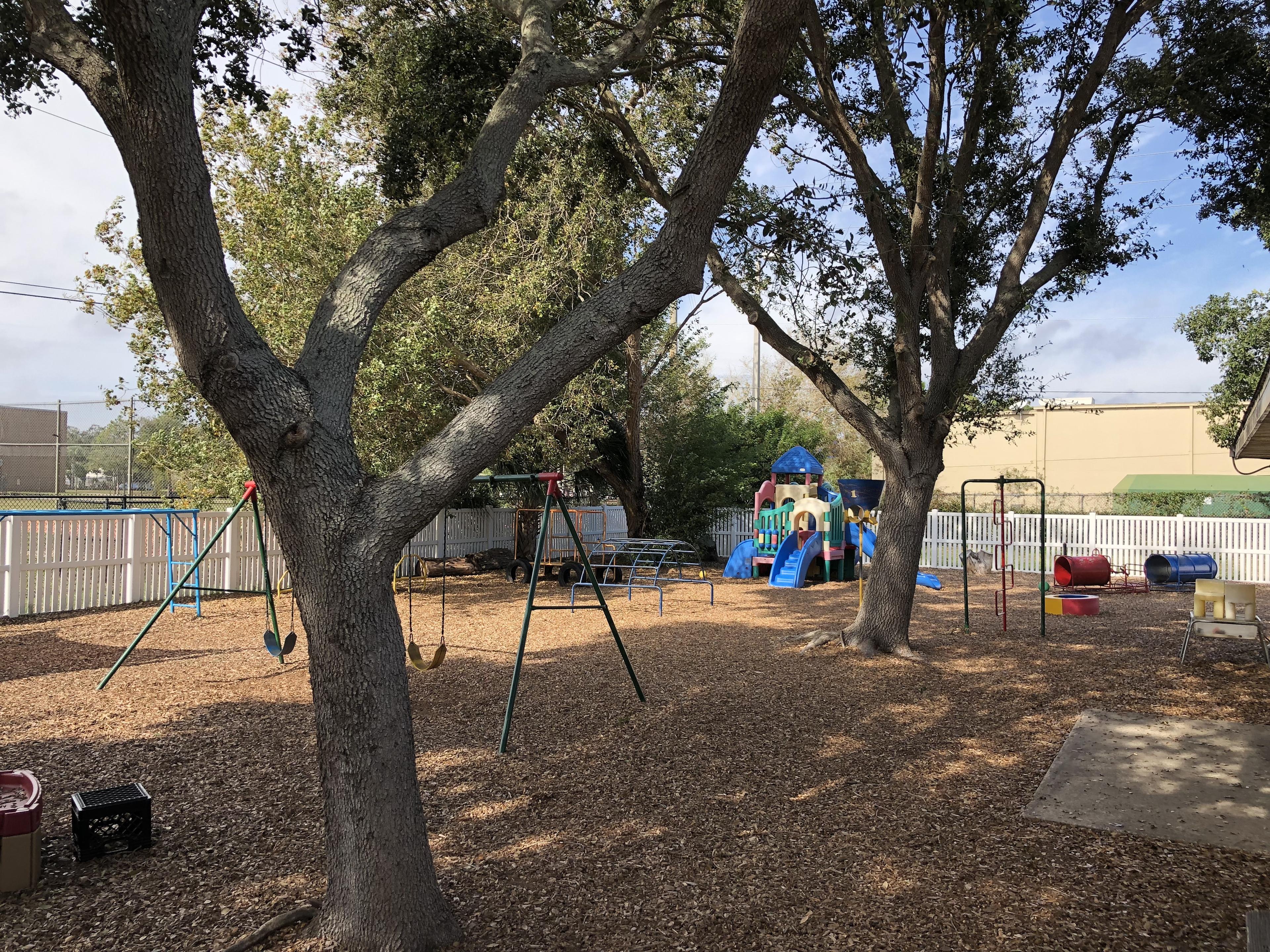 Toad Hall outdoor space with trees and swings